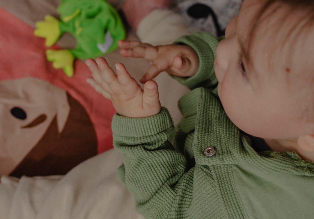 kestumdis-centre-formation-ressources-petite-enfance-langue-des-signes-bebe_BD35